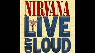 Nirvana  Pennyroyal Tea Live and Loud1993 [upl. by Nauqet38]