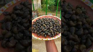 Traditional Small Snail Recipe  Testy And Healthy Snail Curry  Gugli recipe  smallsnailcurry [upl. by Nylarak]