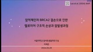 암억제인자 BRCA2 결손으로 인한 텔로미어 구조적 손상과 암발생과정 [upl. by Ninehc]