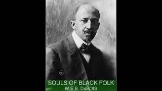 BEST BLACK AUTHORS WEB DuBois The Souls of Black Folk Chapter 13 Part 1 [upl. by Hplar212]