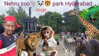 Nehru zoo🐘🐼🐯park Hyderabad vlog video🎥 [upl. by Juan731]