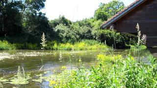 La Risle à proximité de Beaumont le Roger 12 [upl. by Swamy]