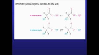 Amminoacidi proprietà e punto isoelettrico [upl. by Mcclees]