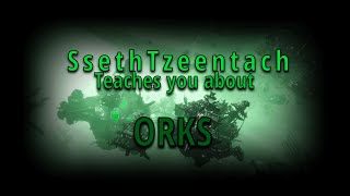 SsethTzeentach Teaches You About The Orks  Warhammer 40k Shitposts [upl. by Featherstone]