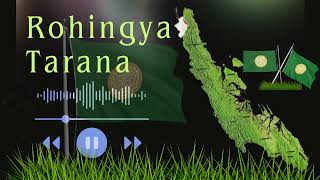 HARE HOTHAM DUKKOR HOTA ROHINGYA TARANA [upl. by Ilene]