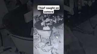 Thief caught on camera funny securitycam viral short [upl. by Abdul197]