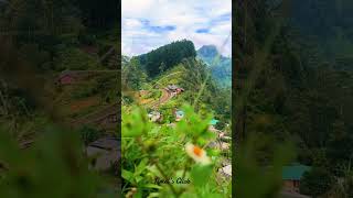 Idalgashinna🌬️🍃travel idalgashinna srilanka foryou viral shortvideo nature trending music [upl. by Lednew1]