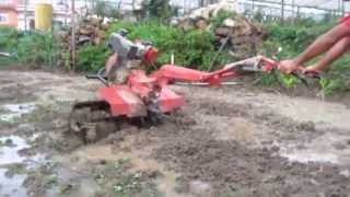 6 HP Multifunction Mini Tiller [upl. by Cece]