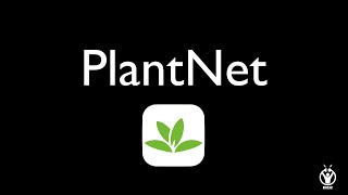 TUTO PLANTNET [upl. by Oicnedurp]