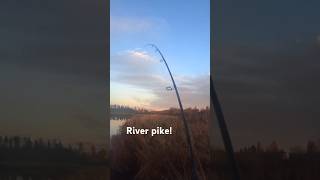 I was testing out my spinning rod And this happened🤯 [upl. by Zetniuq]