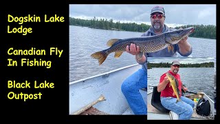 Dogskin Lake Lodge  Black Lake Outpost  Canadian Fly In Fishing [upl. by Dlawso610]