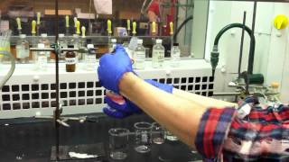 Extraction Procedure for Organic Chemistry Lab [upl. by Zaid]