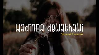 වඩින්න දේවතාවි  wadinna dewathawi  Ras them song  slowed and reverb [upl. by Ariak558]