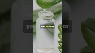 Unlock the Power of Eucalyptus Tea Tree Neem Aloe Vera amp Witch Hazel [upl. by Darbee253]