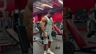 Shoulder workout  gym  workout  frontdelt aesthetic delt mrolympia deltworkout shoulder [upl. by Aihsatsan]