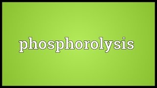 Phosphorolysis Meaning [upl. by Penn]