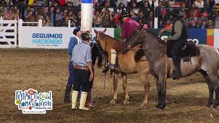 Jineteadas de caballos Festival de Doma y Folklore de Jesús María 2023 noche 7 [upl. by Leidgam]