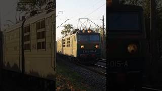 Zielony czapajew ET42015 z węglarkami shorts viral train railway pkp rarytas et42 015 [upl. by Lifton]