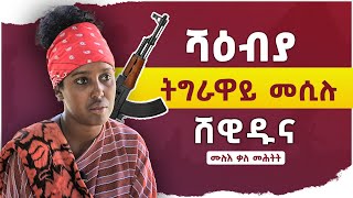 🛑ሻዕብያ ትግራዋይ መሲሉ ሸዊዱና ነይሩ  Gedli Plus  Wez Tube  TDF [upl. by Meer707]