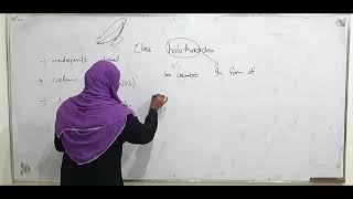 Class HolothuroideaZoology BS Lecture By Prof Kousar Nadia [upl. by Kapoor]