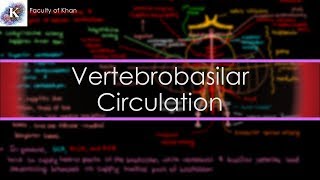 The Vertebrobasilar Circulation  Neurology [upl. by Einuj]