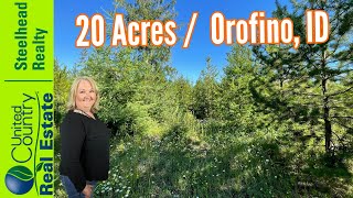 Idaho land for sale 20 acres in Orofino ID United Country  Steelhead Realty 1105510331 [upl. by Airekat]