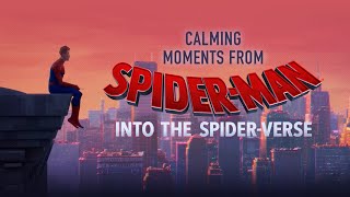 SpiderMan Into the SpiderVerse in Minutes  Recap [upl. by Cozza613]