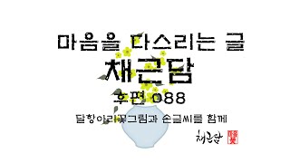 마음꽃 캘리그라피 글멍 삶의지혜채근담홍자성 저후편088을 읽고 달항아리꽃그림과 손글씨로 쓰며 마음을 다스리고 평안을 갖는 힐링의 시간입니다 KoreanCulture [upl. by Auhsoj]