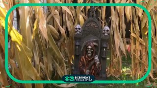 Eagleville man builds corn maze for neighborhood kids at his home [upl. by Conni139]