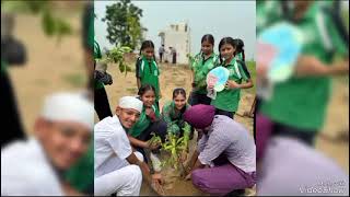 missionharyali treeplantation [upl. by Baudin]