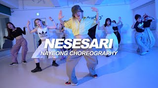 Kizz Daniel  Nesesari  Nayeong Choreography [upl. by Kyl]