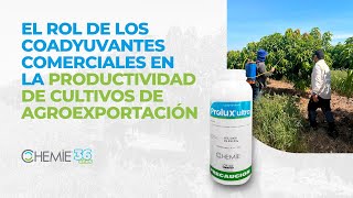 EL ROL DE LOS COADYUVANTES COMERCIALES EN LA PRODUCTIVIDAD DE CULTIVOS DE AGROEXPORTACIÓN [upl. by Ailehs]