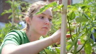 VCUs Monroe Park Campus Learning Garden addressing food insecurity [upl. by Aik86]