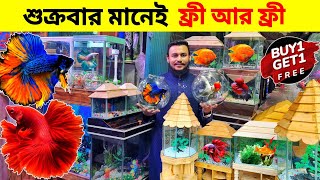 Aquarium Price In Bangladesh🐠Aquarium Fish Price In Bangladesh 😱 Aquarium Fish Price In katabon [upl. by Descombes329]