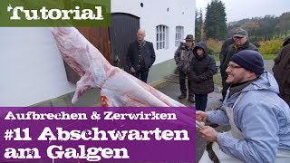 11 Abschwarten am Galgen  Schwarzwild  Lehrgang Aufbrechen amp Zerwirken [upl. by Agnese]