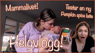 HELGVLOGG MAMMALIVET OCH PUMPKIN SPICE LATTE 🍂 VLOGG 141  AMANDA MARIN [upl. by Snah]