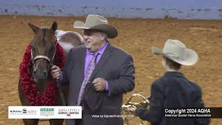 2024 AQHA Select Weanling Geldings World Champion [upl. by Izawa58]