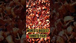 La Tomatina Spain’s Epic Tomato Fight Festival [upl. by Dannye]