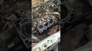 ALTO 800 HEAD GASKET REPAIRING  car servic mechancial mechanic trending viralvideo [upl. by Orelia378]