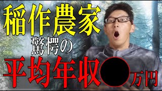 【農業収入のリアル】補助金漬けと揶揄される稲作農家はどれくらいの収入があるのか [upl. by Leinod]