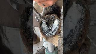 Trimming super overgrown horse hoof farrier satisfying asmr [upl. by Schaab]