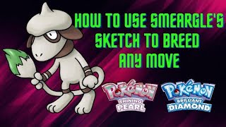 🎨How to use Sketch with Smeargle to learn and breed any move [upl. by Anelah]