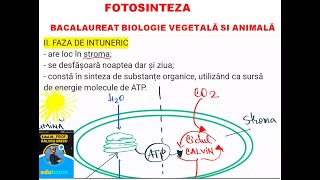 FOTOSINTEZA NUTRITIE AUTOTROFA [upl. by Ardie]