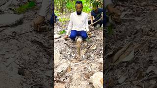 Snake in abounded soil pond yeardHabib brother rescued the snake rescue africa [upl. by Schick69]