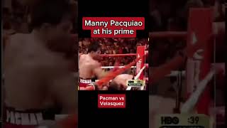 Pacquiao at his prime boxing [upl. by Aneerehs]