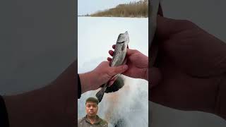 Winter fishing ko dege reaction pt24 shorts reaction keshavrajgure [upl. by Taryn]