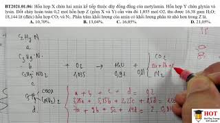 Hỗn hợp X chứa hai amin kế tiếp thuộc dãy đồng đẳng của metylamin Hỗn hợp Y chứa glyxin và lysin [upl. by Belldame]