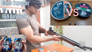 Gamo Expander VS HampN Baracuda Hunter 0177 Air Rifle Coke can Power Test [upl. by Gilberto]