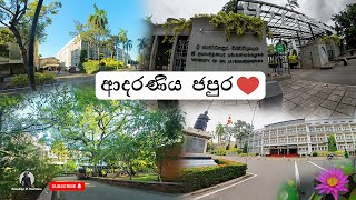 University of Sri Jayewardenepura  ජයවර්ධනපුර සරසවිය  ආදරණීය Japura ❤ [upl. by Atinas]