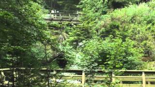 Triberger Wasserfälle im Schwarzwald  Natur  Black Forest [upl. by Keyek56]